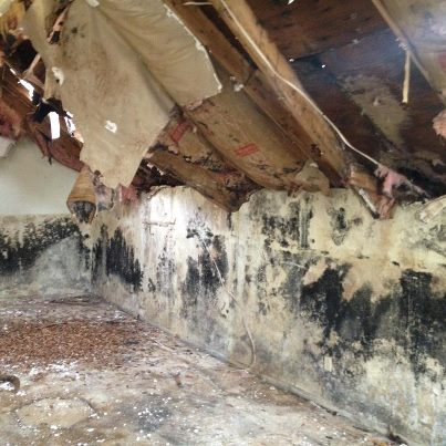 Mold Remediation - Tulsa Restoration Services